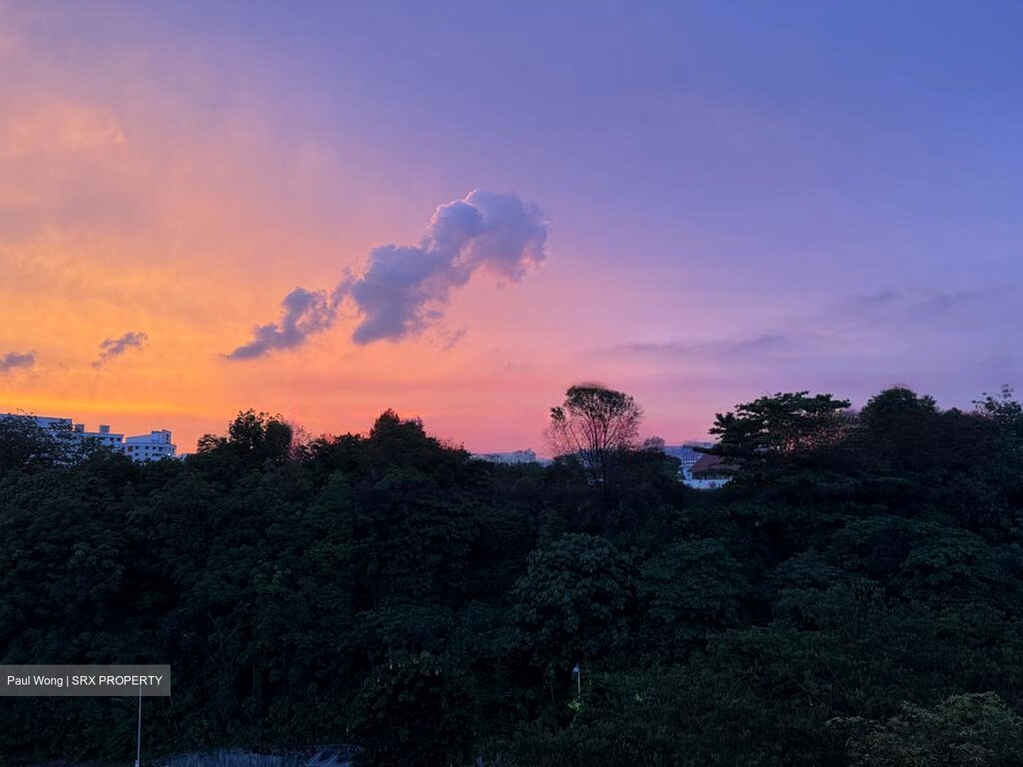 The Visionaire (D27), Condominium #454391611